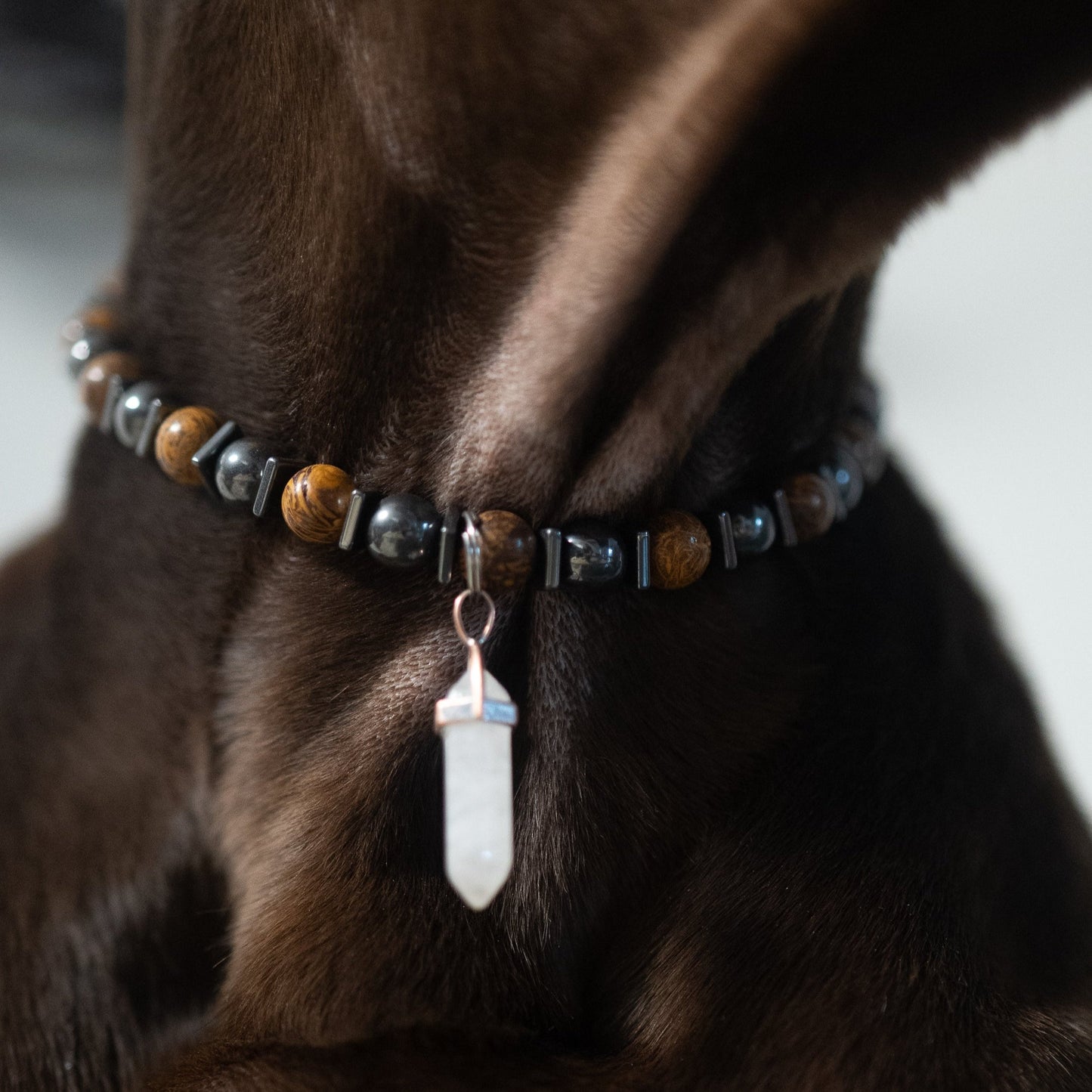 Collier de cohérence pour nos frères animaux avec christall petit modèle